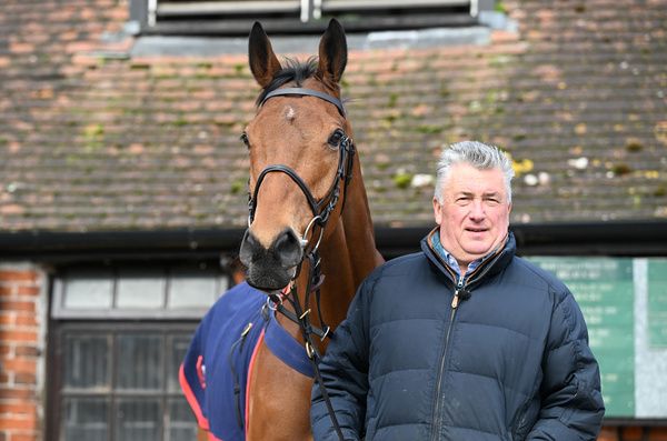 Bravemansgame will bid to give Paul Nicholls Betfair Chase success