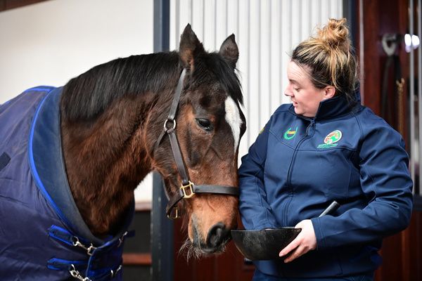 Three times Cheltenham Champion Hurdle winner Istabraq with groom Lara Hegarty