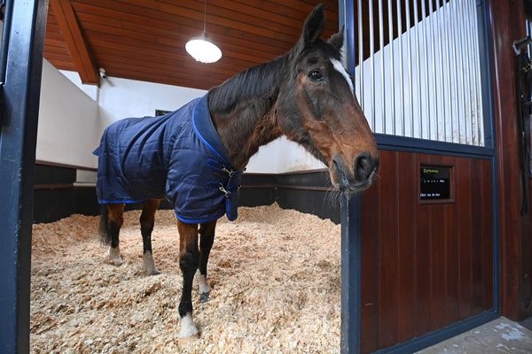 Three times Cheltenham Champion Hurdle winner Istabraq was an all-time great