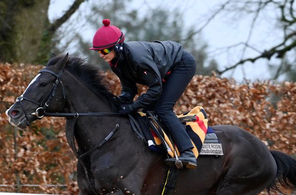 Auguste Rodin  at morning work on The Front Gallop at Ballydoyle