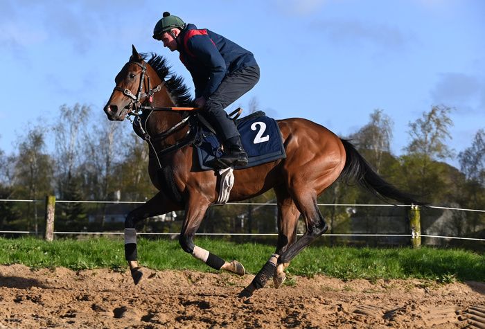 A Lilac Rolla and Connor King pictured on the gallops at Paddy Twomey's yard