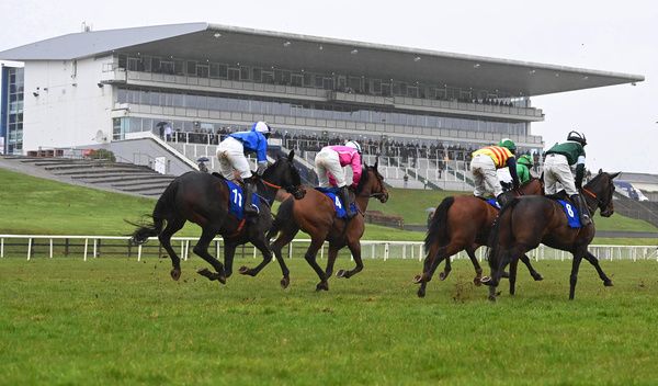 Limerick Racecourse