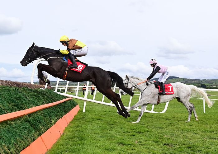 Punchestown 1 May 2024 Ladbrokes Punchestown Gold Cup Galopin Des Champs and Paul Townend