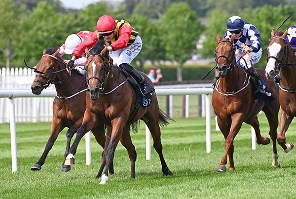 Eclipse Emerald sees off all comers at Naas in the hands of Joey Sheridan