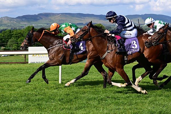 Eruption and Declan McDonogh win the Yeats Country Claiming Race 