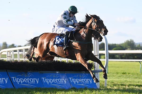 Tipperary 15 5 24 Toor Khov and Liam Quinlan win the Tipperary Maiden Hurdle Healy Racing 