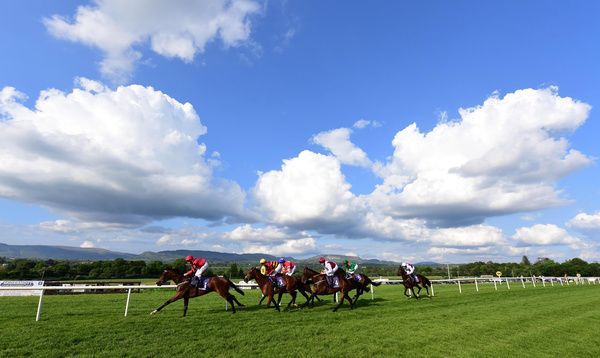 Sligo 14 5 24 action from the Rossespoint Caravan Maiden 