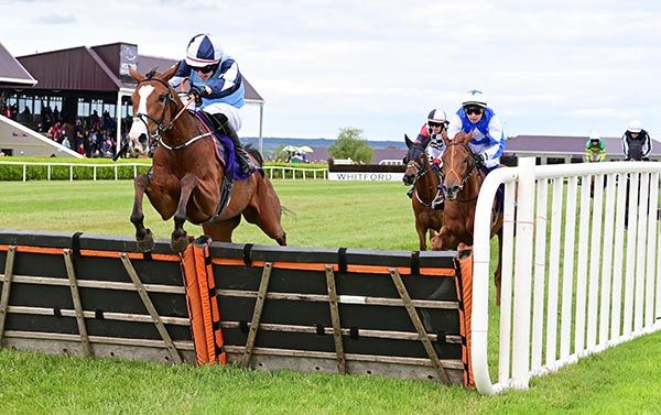  Feet Of A Dancer and Sean O'Keeffe jump the last in front