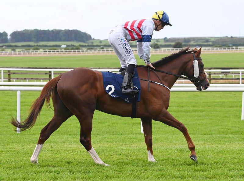 Bright Stripes could make his next start on Champions Weekend. 