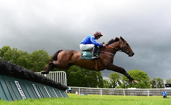 Petrol Head winning on his first start for Katy Brown at Downpatrick