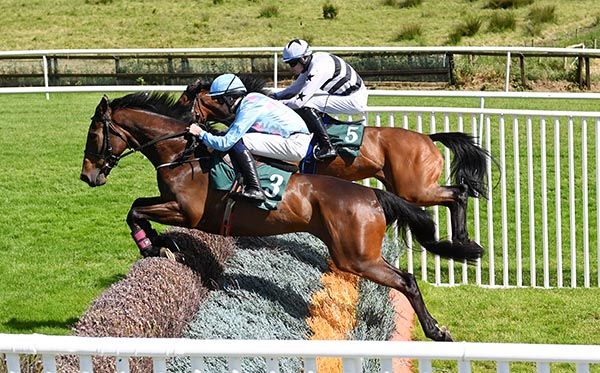 Tullyveery Lad and Paddy Hanlon (nearest)