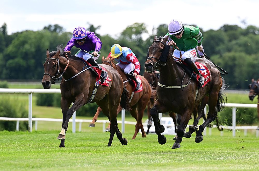 Kentucky Gal (purple) beats Moltophino 
