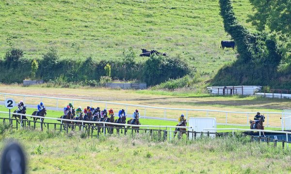 Action from the sixth at Downpatrick which went to Rightfolksplease