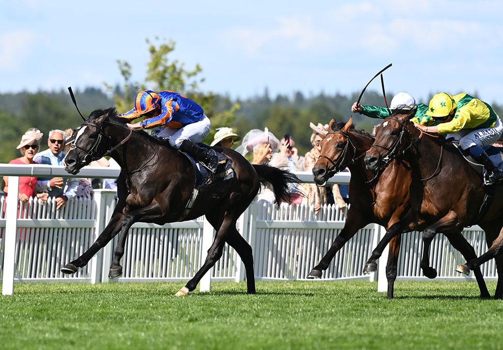 Auguste Rodin and Ryan Moore