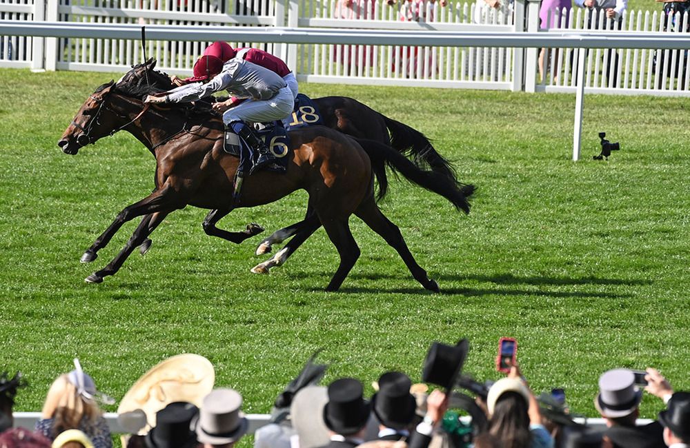 Doha winning at Royal Ascot