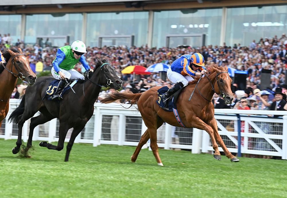 Simmering chased home Fairy Godmother at Ascot 