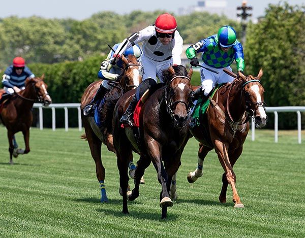 L'Imperator and Jordan Gainford winning Thursday's Steinman Hurdle