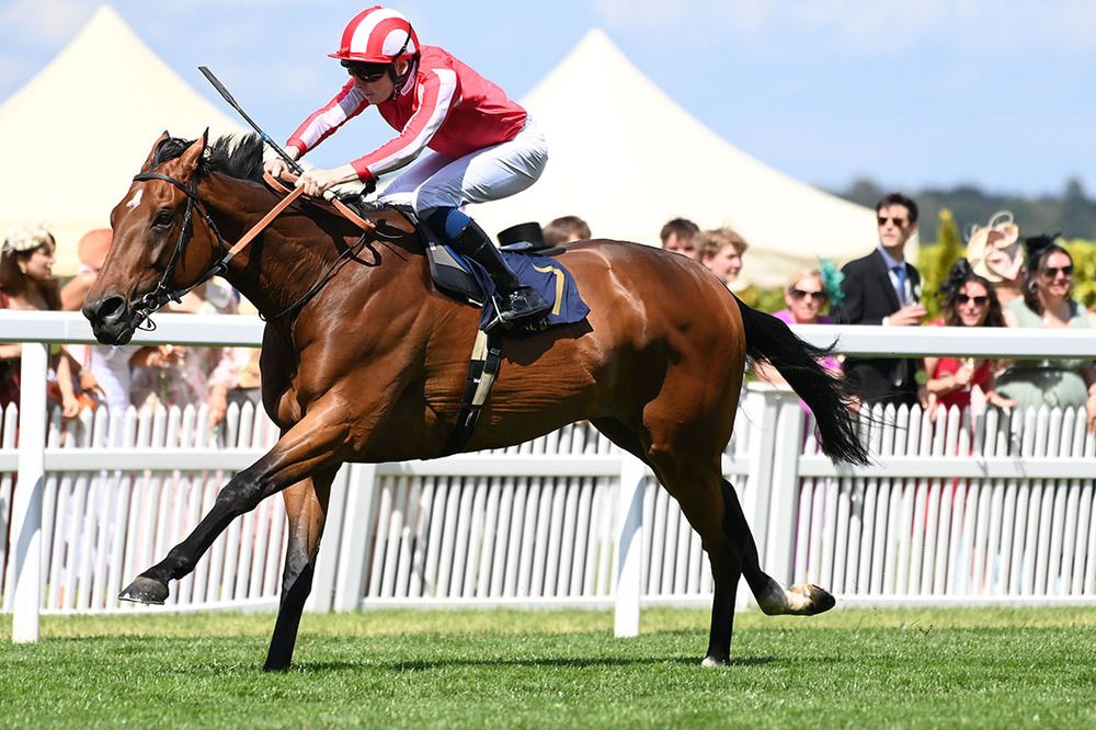 Isle Of Jura and Callum Shepherd winning at Royal Ascot 