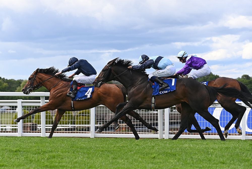 City Of Troy (Ryan Moore) sees off Al Riffa (Dylan Browne McMonagle) and Ghostwriter (Richard Kingscote)