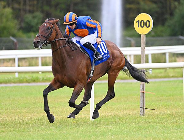 Flight Of Fancy and Wayne Lordan 