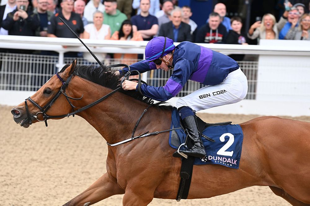 Rough Diamond approaches the winning post