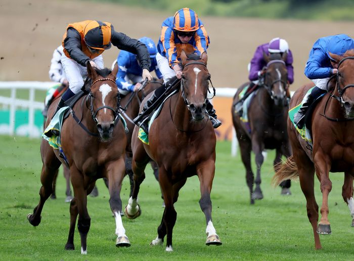 Arabian Dusk and Harry Davies winning the Duchess Of Cambridge Stakes