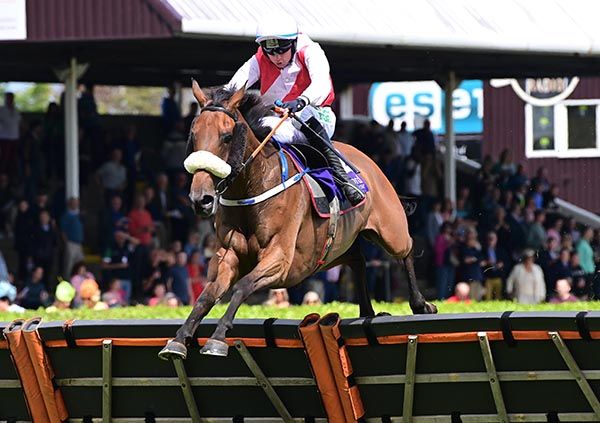 Sunshine Diamond clears the last under Conor McNamara