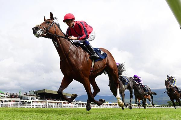 Apples And Bananas seen winning his maiden at Killarney 