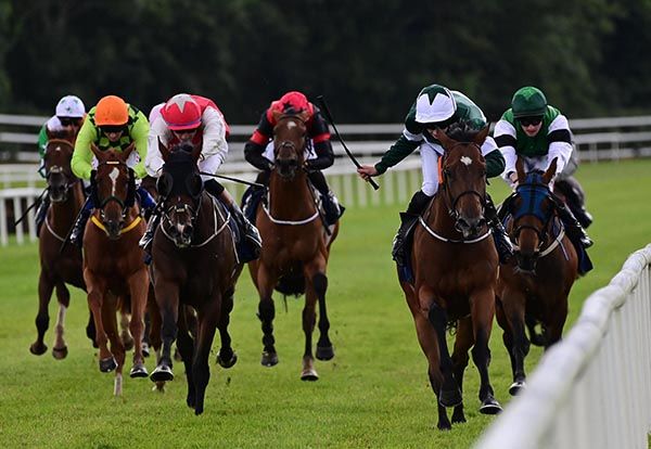  Dynamic Force and Darragh O Sullivan (green and white)