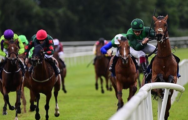 Green Triangle and Wayne Hassett crash out through the railing 