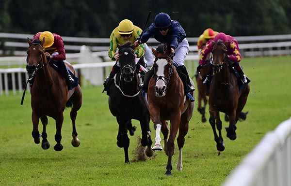 Greenfinch and Wayne Lordan 