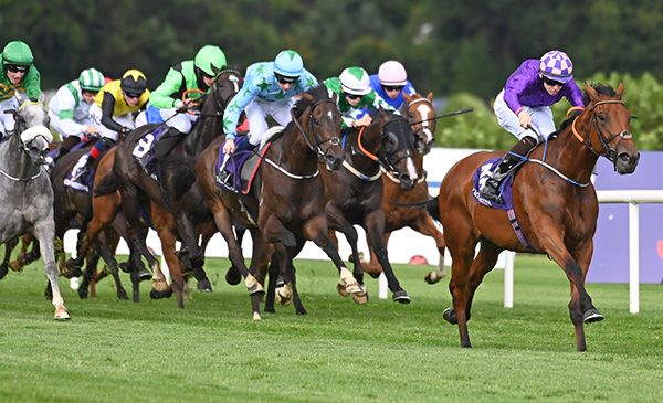 Enchanted Garden and Jack Cleary lead them home