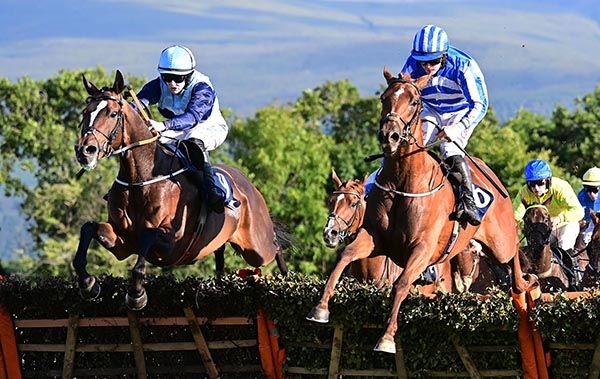 Red Glory (left) beats Chatterbox 