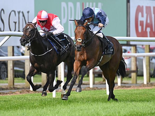 Origami and Dylan Browne McMonagle (right) get up to beat Tommy McJohn and Seamie Heffernan