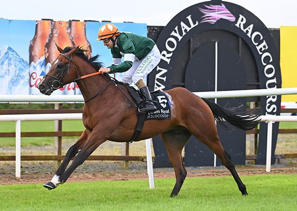 Wizard Of Odds passes the winning post