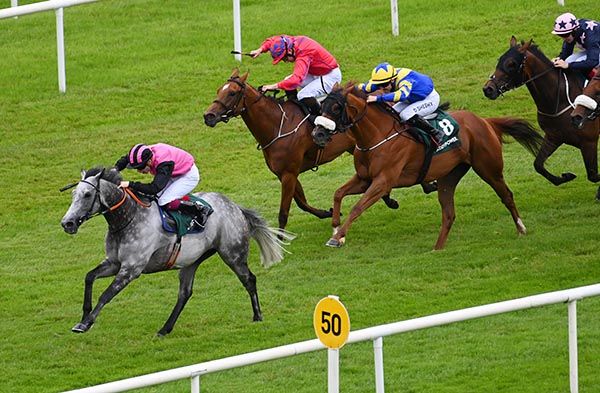 Big Gossey leads home his rivals under Robert Whearty