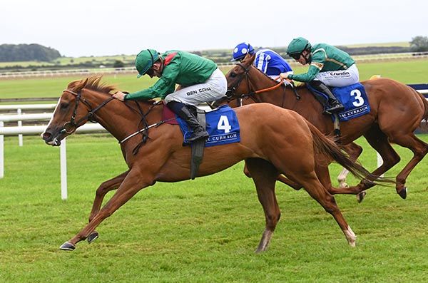 Kailasa leads home Counterculture (No 3) and White Clover (far side)