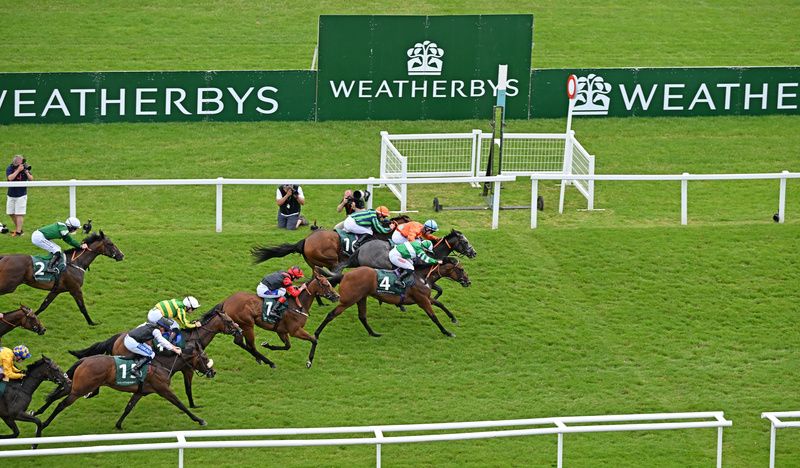 Caburn and Dylan Hogan orange silks wins the Weatherbys Super Sprint at Newbury 