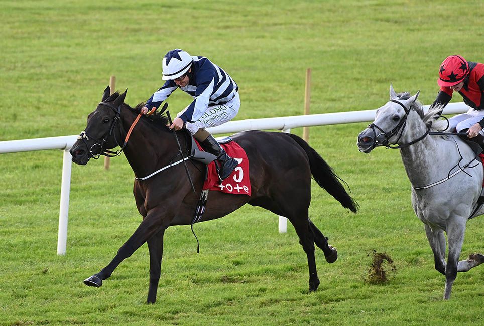 Shane Foley drives Brewel Hill home