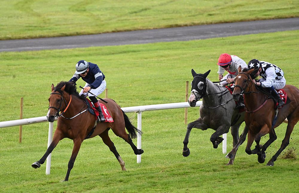 La Dame Blanche winning at Ballinrobe