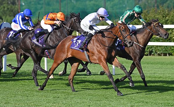 Latin Fever and Mikey Sheehy (white)