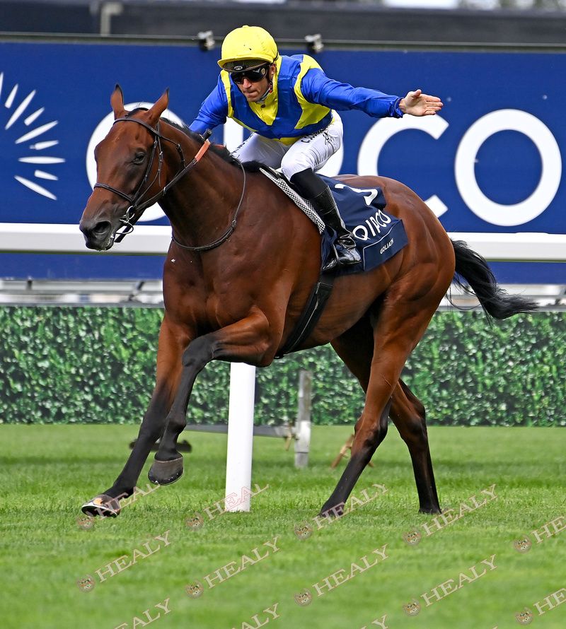 Goliath and Christophe Soumillon winning at Ascot