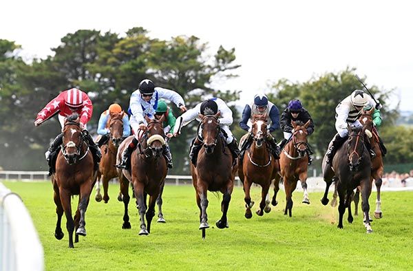 Raknah and Gary Carroll (red) lead home the Listed field