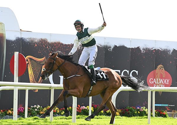 Nurburgring and JJ Slevin winning the Galway Hurdle 