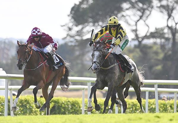 Brave Crogha and Aine O'Connor (yellow) charge home