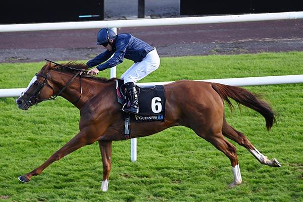 Andromeda and Wayne Lordan