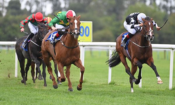 Finsceal Annie (green) beats Bucaneer's Spirit (right) 