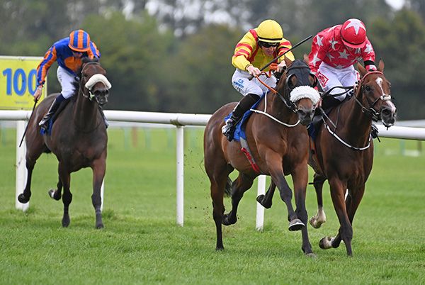 Star Harbour and Adam Caffrey (centre)