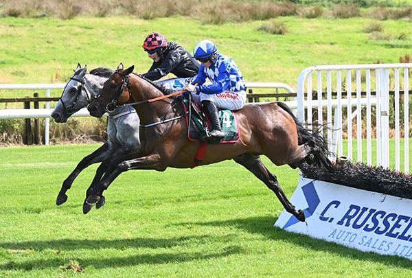 Mordor and Sam Ewing (nearside) come to claim Dollar Value (Alex Harvey)