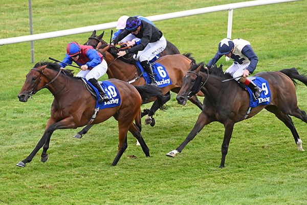 Wingspan and Wayne Lordan (left)